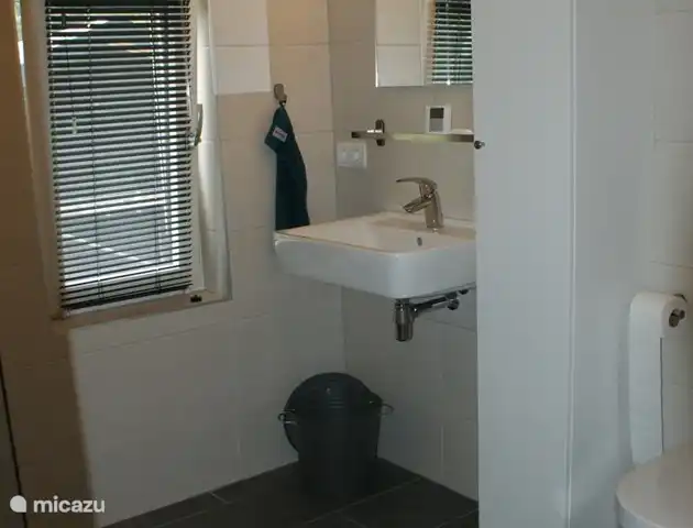 Badkamer boven met inloopdouche, wastafel en toilet. Kast om toiletspullen op te slaan.